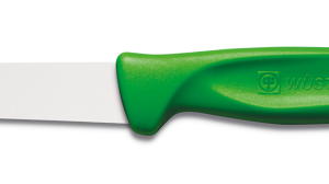 Wüsthof - SHARP FRESH COLOURFUL Paring Knife Green
