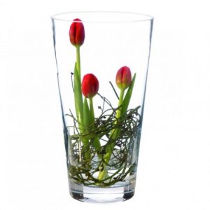 Maxwell & Williams - Conical Vase