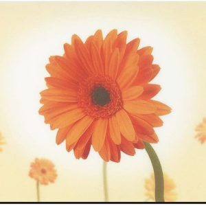 Kela - Table-Set Gerbera