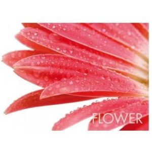 Kela - Table Set Flower Red