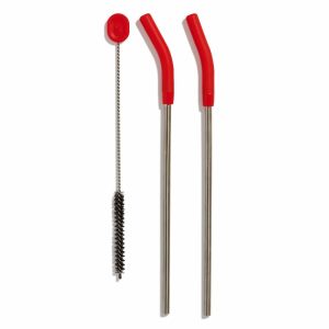Hydro Flask - Reusable Straw Goji