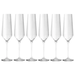 Eva Solo Legio Nova Champagne Glasses 26 cl - Set of 6
